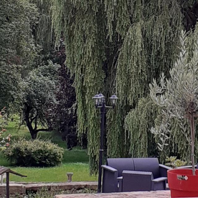 Le Domaine D'Elise Chambres Et Table D'Hotes - Vosges Saint-Ouen-les-Parey Esterno foto