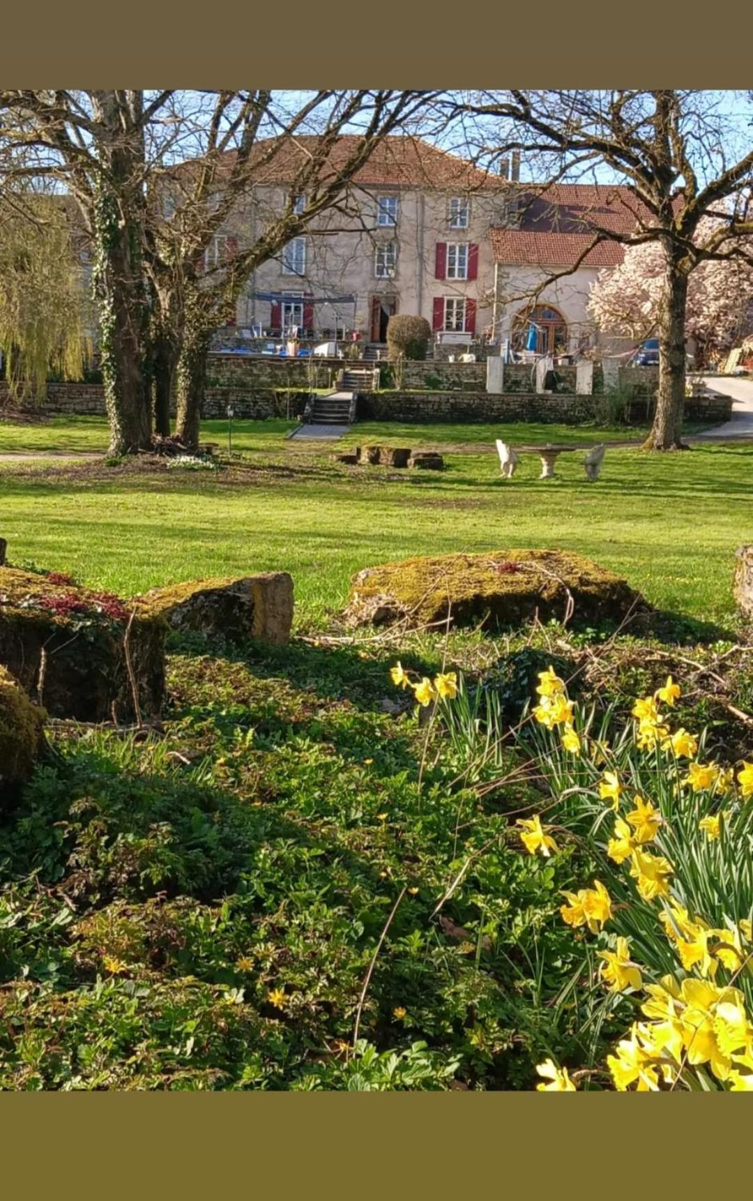 Le Domaine D'Elise Chambres Et Table D'Hotes - Vosges Saint-Ouen-les-Parey Esterno foto