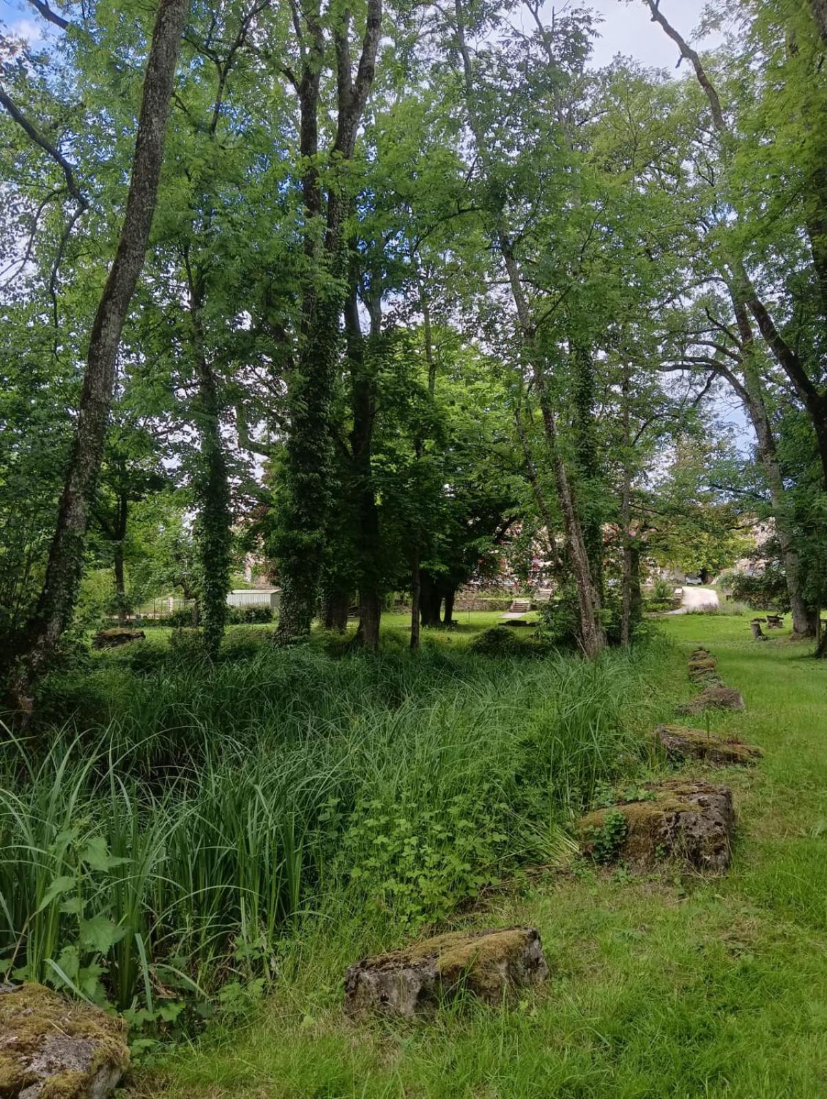 Le Domaine D'Elise Chambres Et Table D'Hotes - Vosges Saint-Ouen-les-Parey Esterno foto