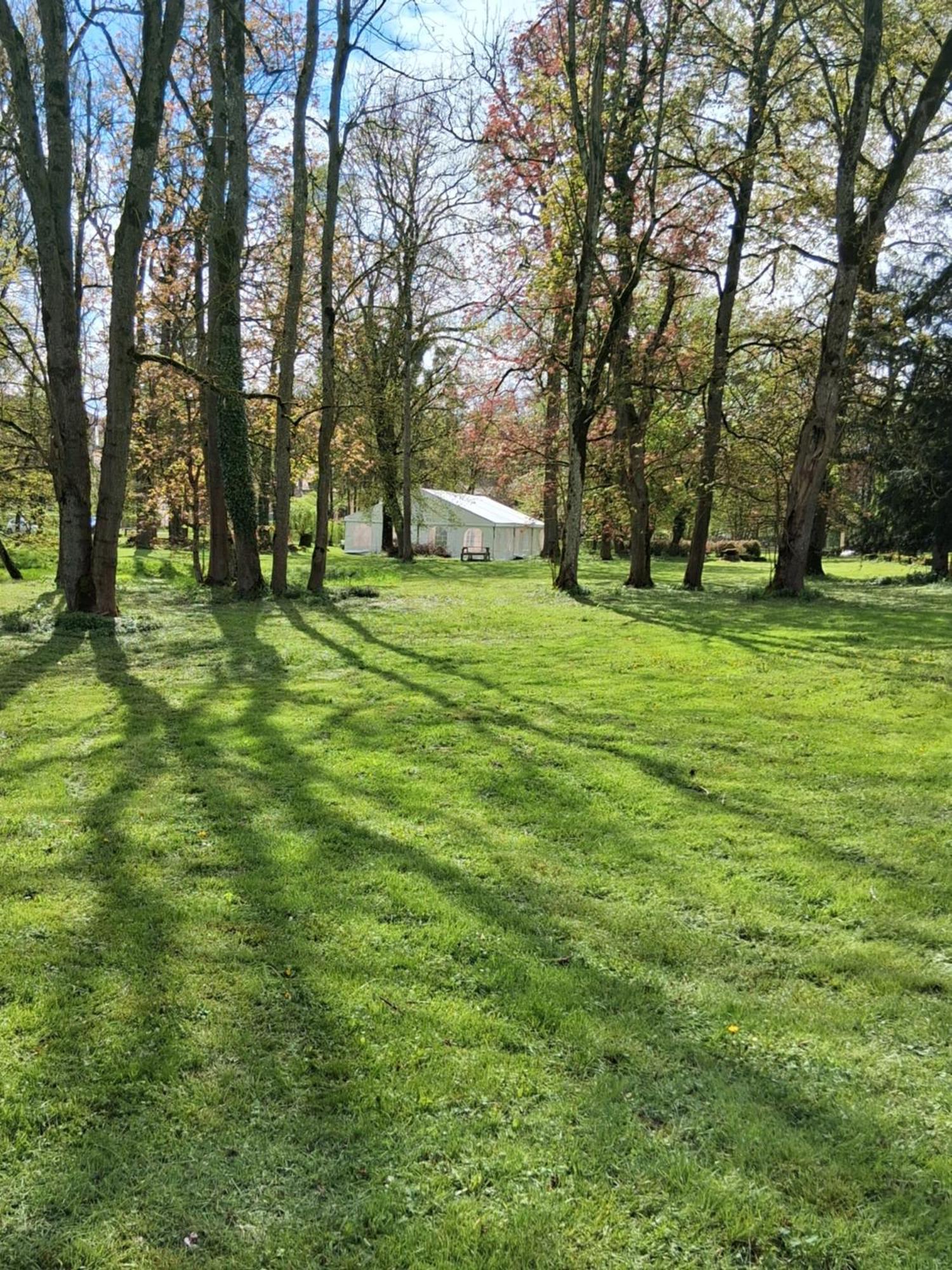 Le Domaine D'Elise Chambres Et Table D'Hotes - Vosges Saint-Ouen-les-Parey Esterno foto